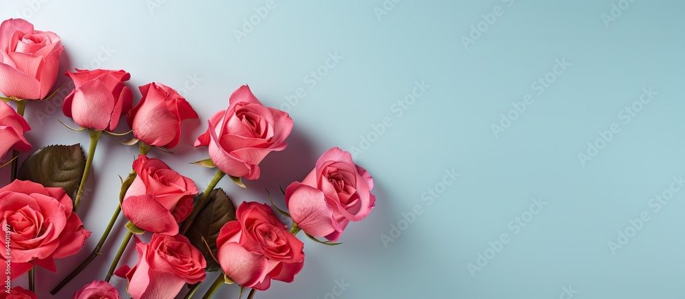 Gorgeous crimson flowers isolated pastel background Copy space