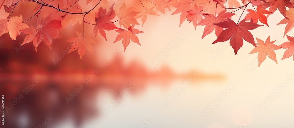 Gorgeous Thai autumn scene with red leaves at sunset isolated pastel background Copy space Gorgeous Thai autumn scene with red leaves at sunset isolated pastel background Copy space