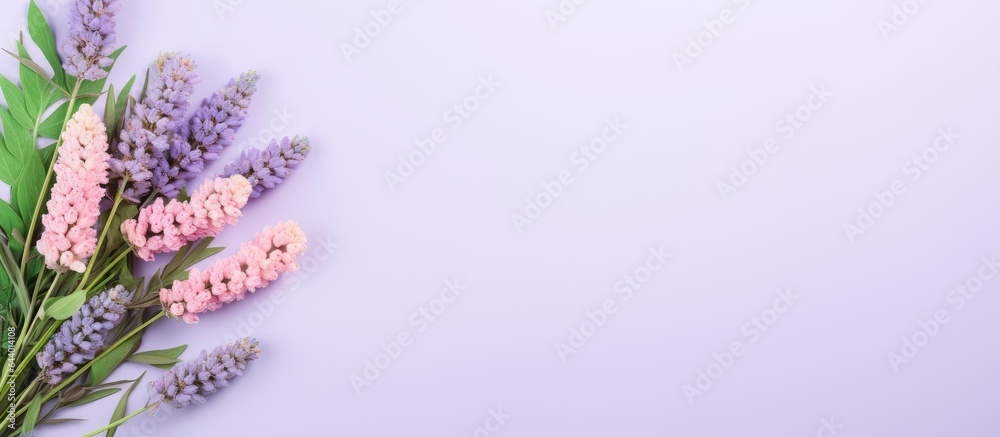 Asparagus on isolated pastel background Copy space freshly prepared Asparagus on isolated pastel background Copy space freshly prepared