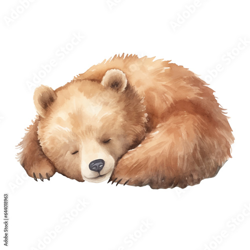 Watercolor sleeping bear. Vector illustration with hand drawn brown bear. Clip art image.
