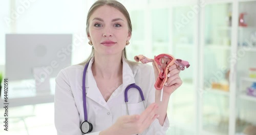 Doctor shows an anatomical model of uterus and ovaries with pathologies closeup. Gynecological diseases and treatment photo