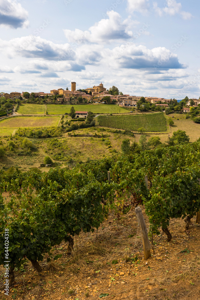 Village médiéval d’Oingt construit en pierres dorées typique de cette région du Beaujolais depuis les vignobles aux alentours Village médiéval d’Oingt construit en pierres dorées typique de cette région du Beaujolais depuis les vignobles aux alentours