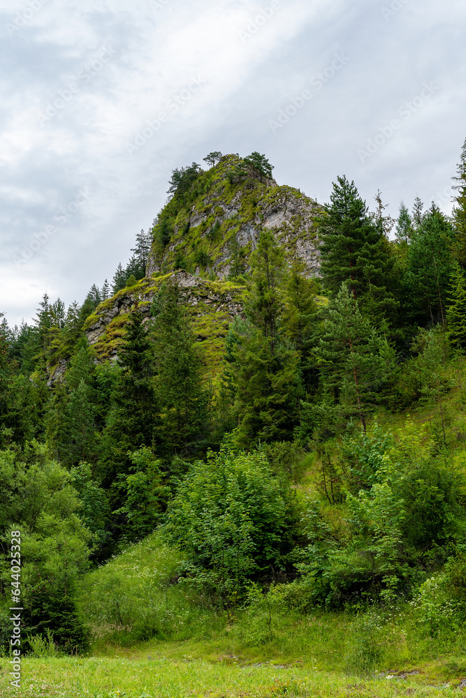 Nature reserve