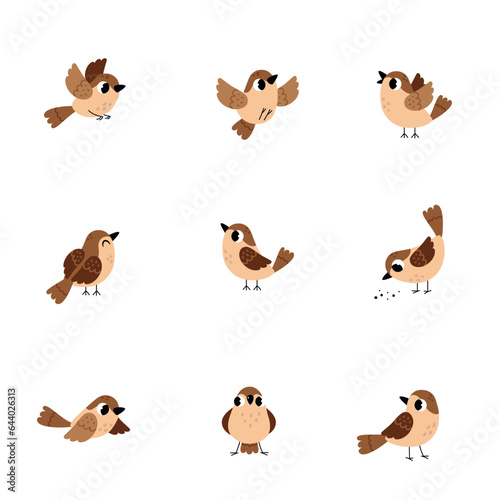 Little Brown Sparrow Bird with Feathers and Beak Vector Set
