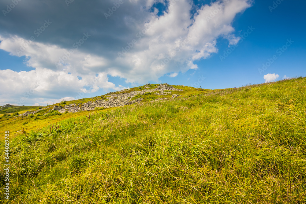 Fototapeta premium Beautiful view of the Ukrainian mountains Carpathians and valleys.Beautiful green mountains in summer with forests, rocks and grass. Water-making ridge in the Carpathians, Carpathian mountains
