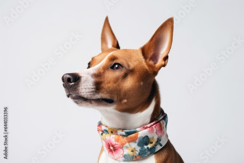 Lifestyle portrait photography of a smiling basenji dog wearing a floral collar against a white background. With generative AI technology