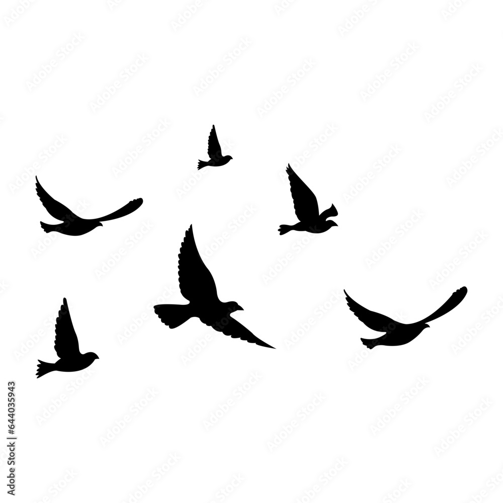 Obraz premium silhouettes of flock birds fly in sky