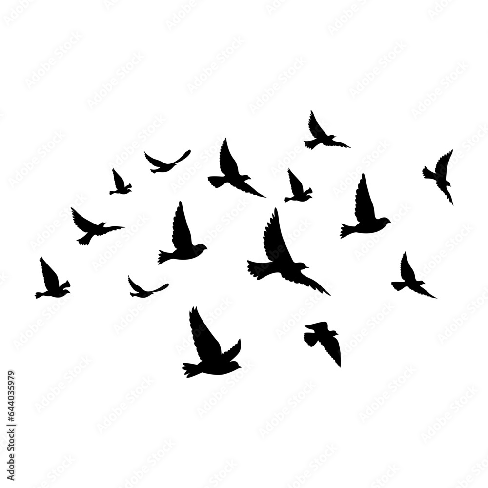 silhouettes of flock birds fly in sky