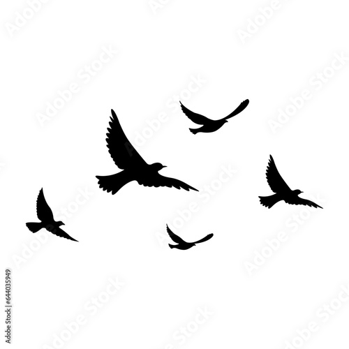 silhouettes of flock birds fly in sky
