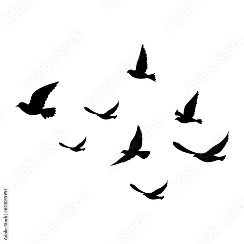 silhouettes of flock birds fly in sky © Arthit