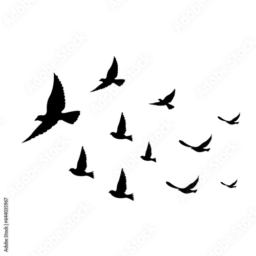 silhouettes of flock birds fly in sky