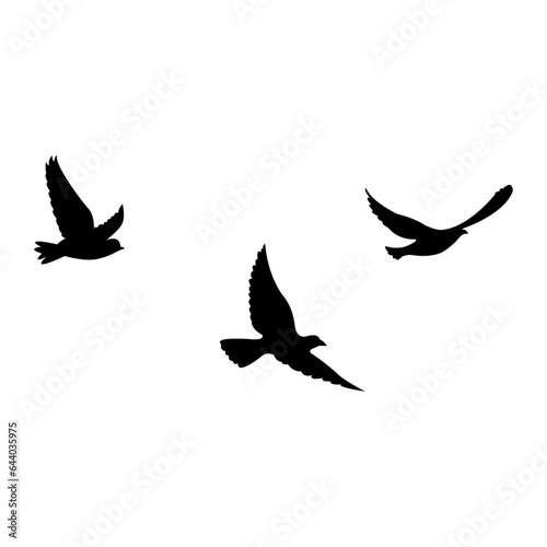 silhouettes of flock birds fly in sky