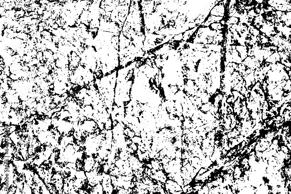 Fototapeta premium Vector grubge black and white background. Abstract surface crack texture old wall.