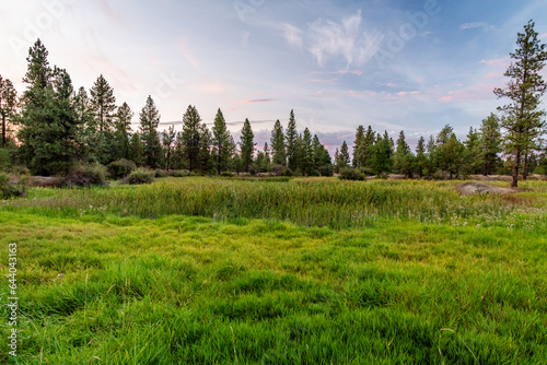 Blackhorse Lake Area at Turnbull National Wildlife Refuge.