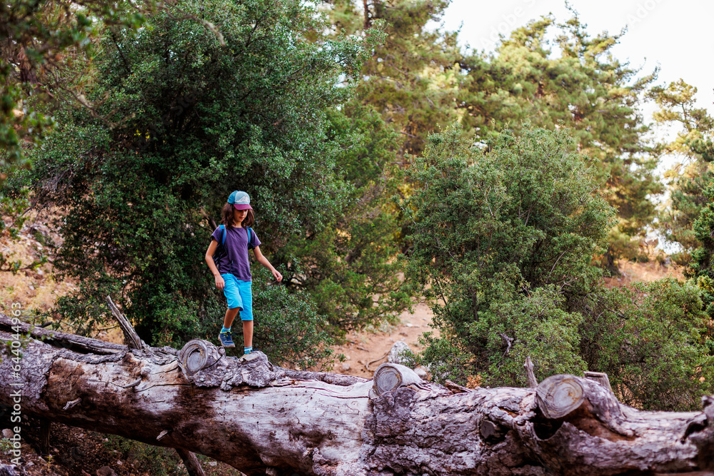 boy walks on top of a fallen tree in the forest. Children's leisure, a happy child climbs a tree and has fun. boy walks on top of a fallen tree in the forest. Children's leisure, a happy child climbs a tree and has fun.