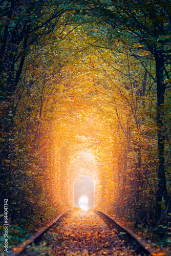 Old Autumn Trees Tunnel with old railway - Tunnel of Love. Natural tunnel of love formed by trees. Ukraine  Europe