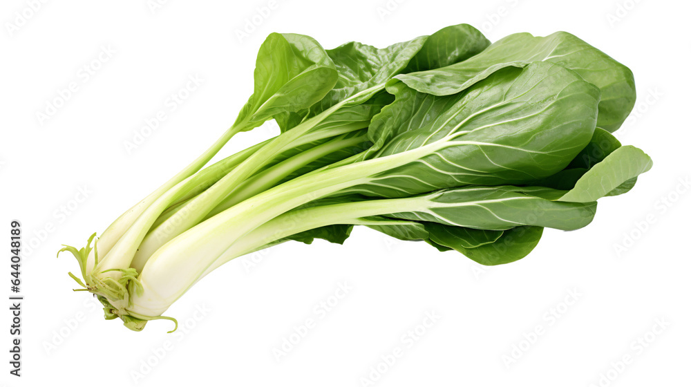 Bok Choy isolated on a transparent background, PNG Bok Choy isolated on a transparent background, PNG