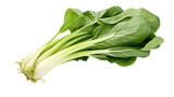 Bok Choy isolated on a transparent background, PNG