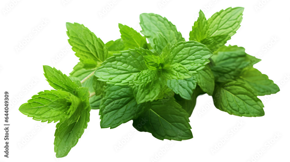 fresh mint leaves isolated on a transparent background, PNG fresh mint leaves isolated on a transparent background, PNG
