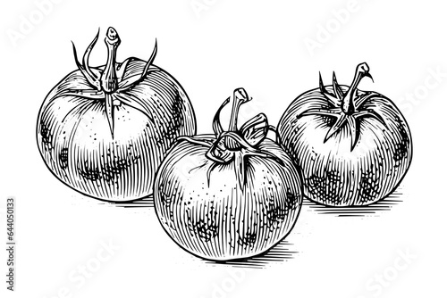 Tomato hand drawn ink sketch. Engraving vintage style vector illustration.