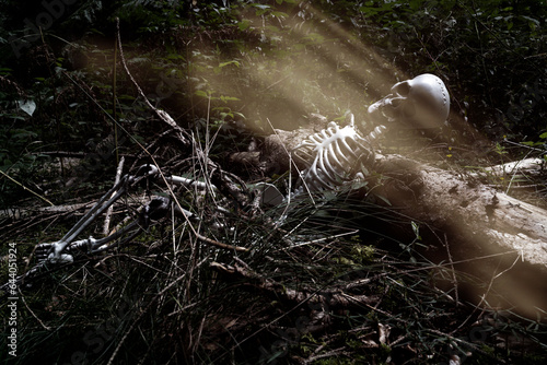 squelette humain en forêt éclairé par un rayon de lumière