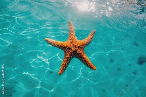 Starfish swims in sea water. Summer time. Generative AI © Alina