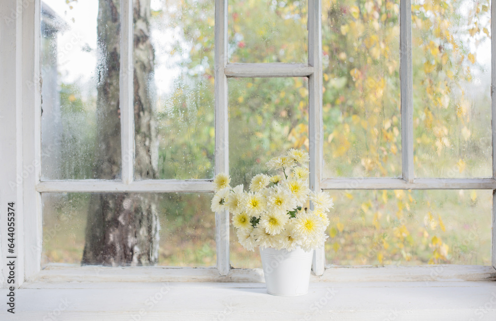 chrysanthemums in vase on windowsill in autumn chrysanthemums in vase on windowsill in autumn
