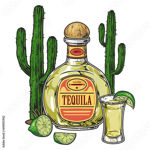 Mexican drink tequila flyer colorful