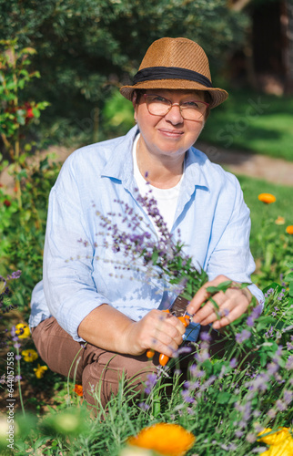 Senior woman is gardening on beautiful sunny day