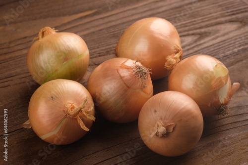 Onions  Allium Cepa Linnaeus  are the most widely and widely cultivated type of onion  used as a spice and cooking ingredient  with a large round shape and thick flesh.