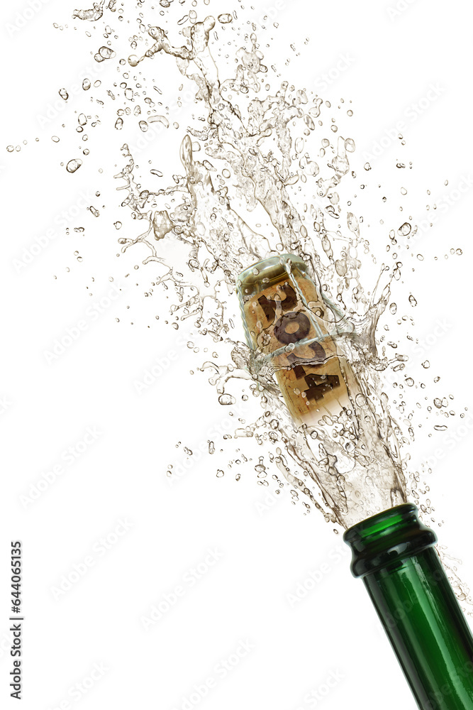 Fotografía Silvester 421