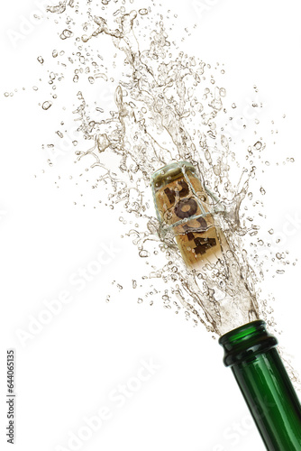 Photography Silvester 421