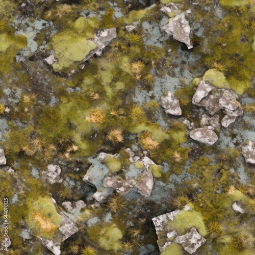 Seamless texture. Northern tundra © cherezoff