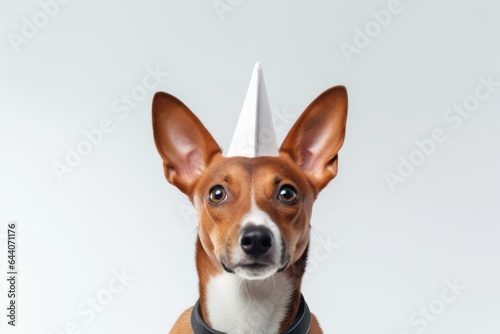 Medium shot portrait photography of a cute basenji dog wearing a shark fin against a white background. With generative AI technology © Markus Schröder