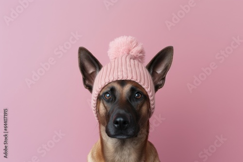 Medium shot portrait photography of a funny belgian malinois dog wearing a knit cap against a pastel or soft colors background. With generative AI technology