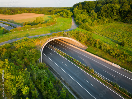 Green ecoduct over an empty highway during sunset.
