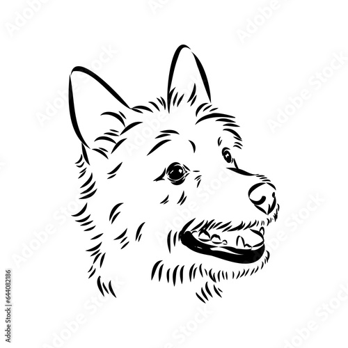 Decorative outline portrait of Dog Australian Terrier  vector