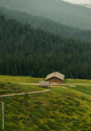 A high-quality phot of a lonely log home in a pine forest at the crossroads 