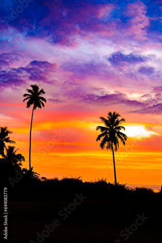 The silhouette of a row of coconut trees on Bakongan Beach  Tapaktuan  Aceh during sunset  with the sky blending from orange to red and magenta  is a truly beautiful moment.