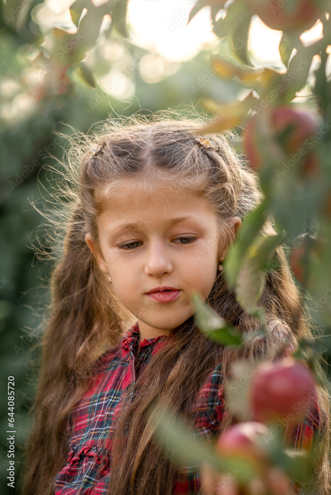 Little girl in an apple orchard