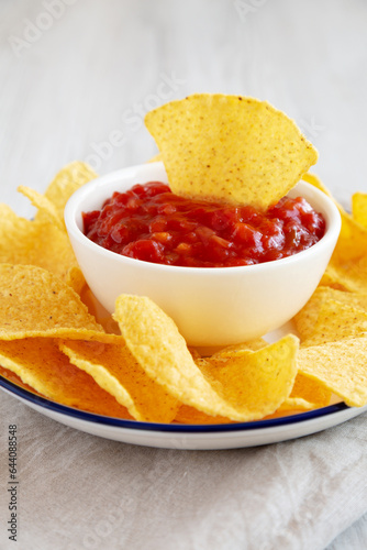 Homemade Salsa and Tortilla Chips on a Plate, side view. Close-up.