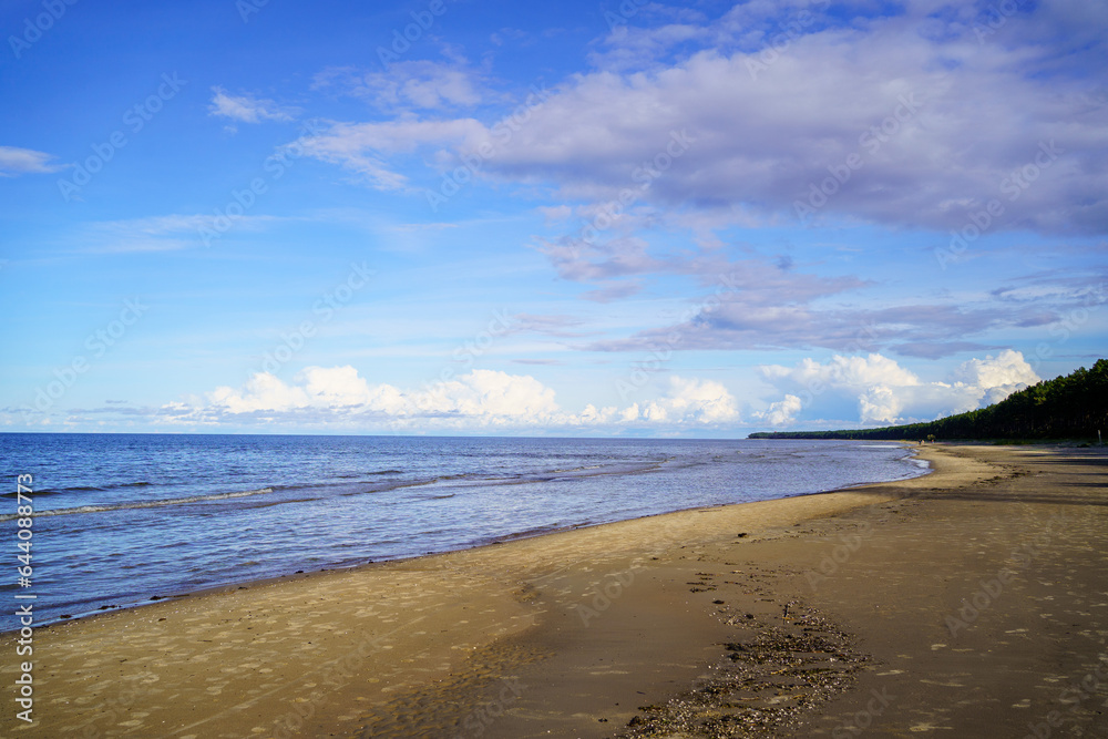 baltic sea side beach in sunny summer day