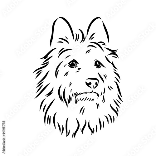 Decorative outline portrait of Dog Australian Terrier, vector