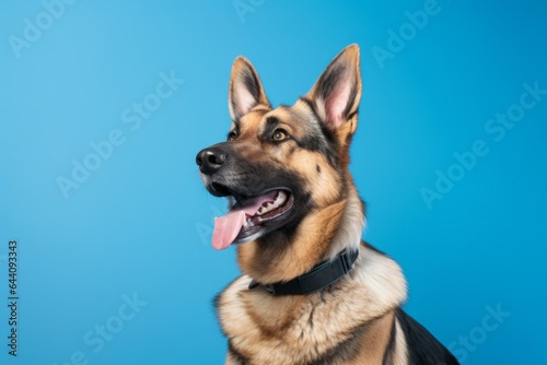 Medium shot portrait photography of a funny german shepherd wearing a paw protector against a sky-blue background. With generative AI technology