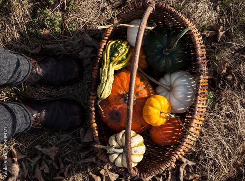 pumpkins in a basket and feet in old shoes.halloween ,autumn background