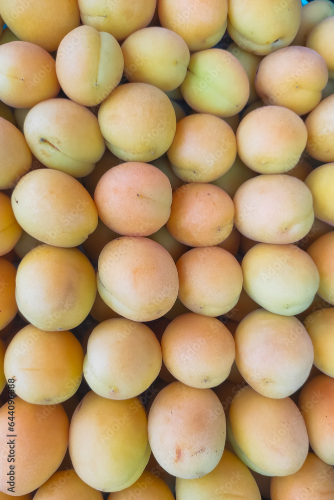 Large orange apricots are laid out in a box on the counter
