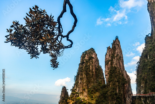 Mangshan Wuzhifeng Scenic Area, Yizhang County, Chenzhou City, Hunan Province, China photo