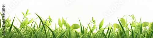 a row of 3d green grass on a white background.