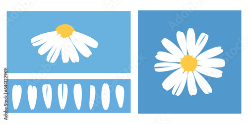 Daisy flower icons sign and petals on blue background vector illustration. Cute childish print.