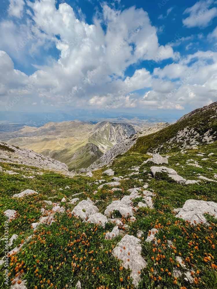 Fototapeta premium Dinaric Alps Mountain Landscape in Durmitor Montenegro
